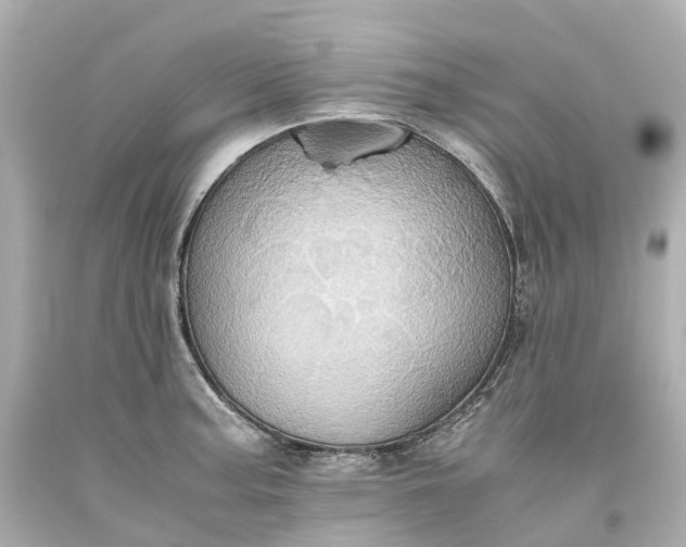 X0000093611187200710291159