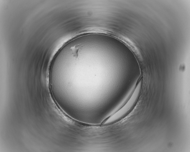 X0000093611188200710291159