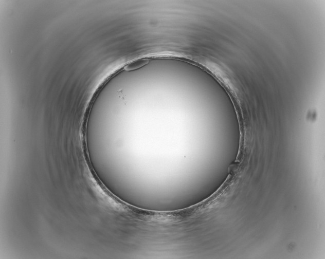 X0000093611189200710291159