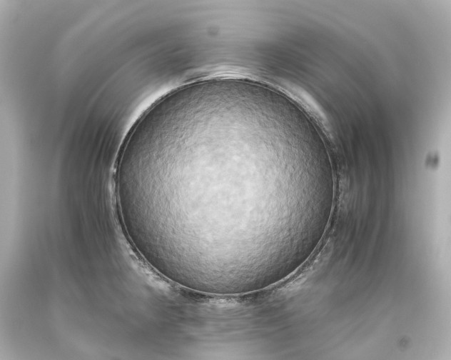 X0000093611190200710291159