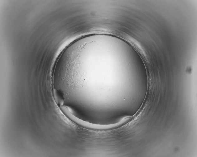 X0000093611192200710291159