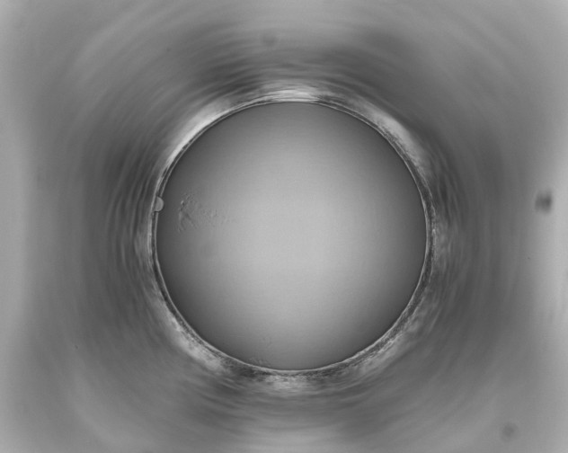 X0000093611194200710291159