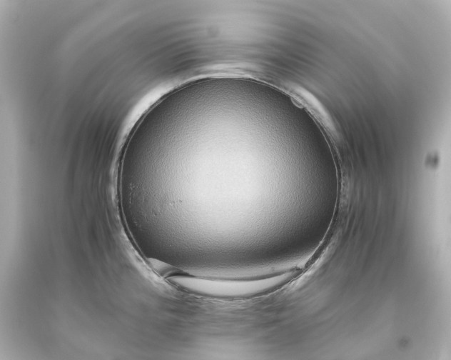X0000093611196200710291159