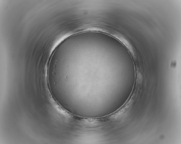X0000093611198200710291158