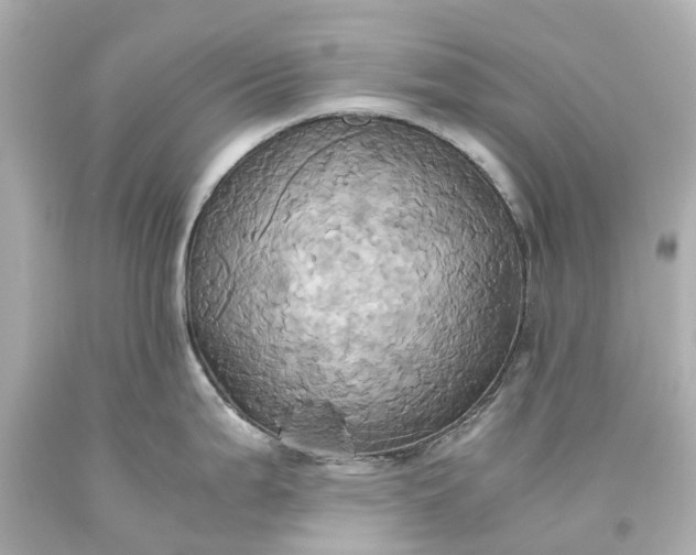 X0000093611199200710291158