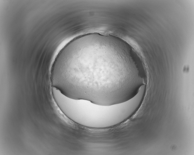 X0000093611200200710291158