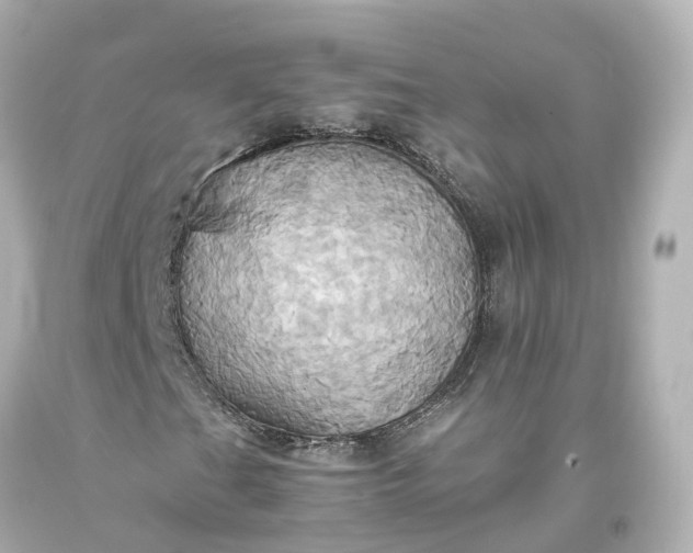 X0000093611201200710291158