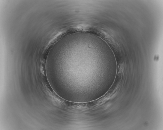 X0000093611202200710291158