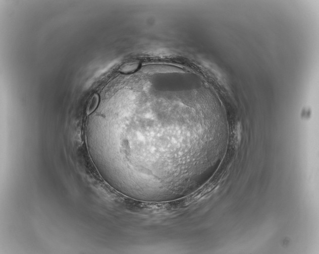 X0000093611205200710291158