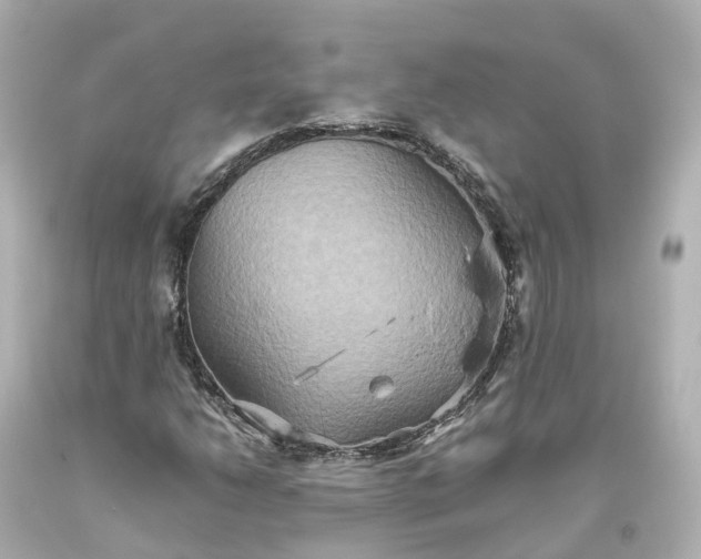 X0000093611206200710291158