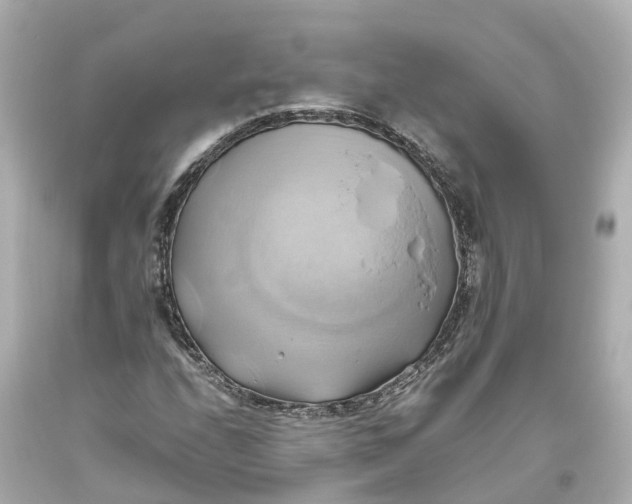 X0000093611208200710291158
