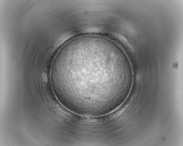 X0000093611209200710291158