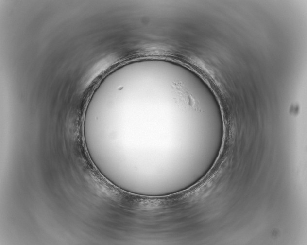 X0000093611211200710291158
