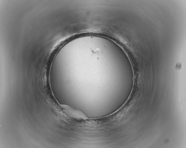 X0000093611214200710291158