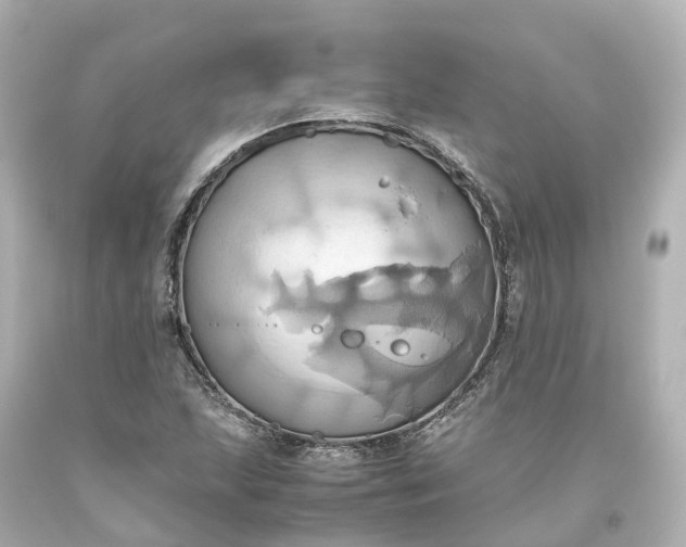 X0000093611215200710291158