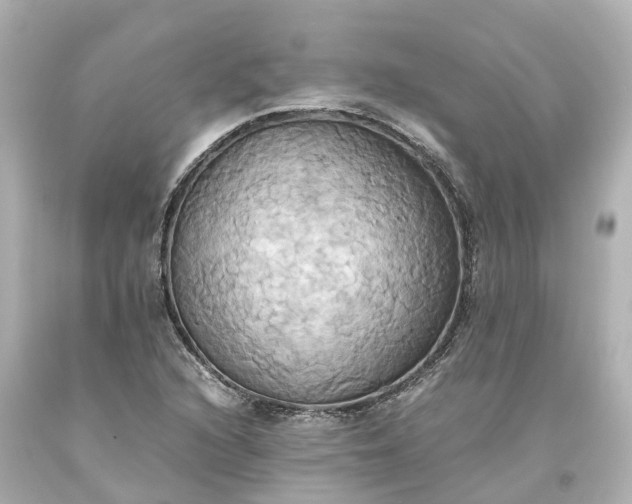 X0000093611216200710291158
