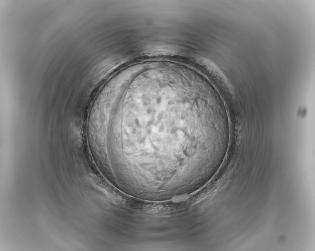 X0000093611217200710291158