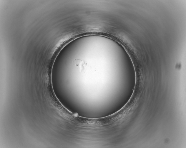 X0000093611218200710291158