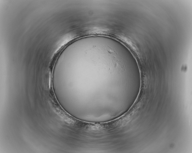 X0000093611219200710291158