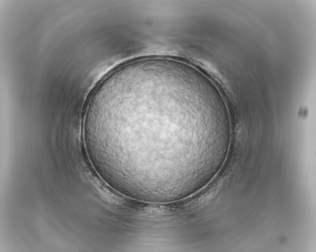 X0000093611220200710291158