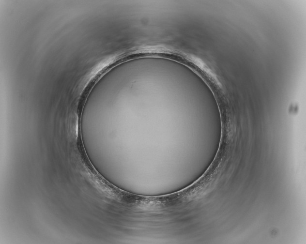 X0000093611221200710291158