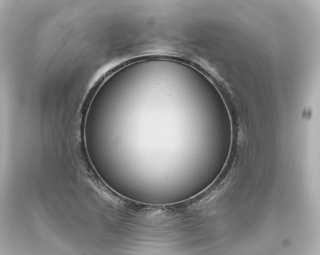 X0000093611222200710291158