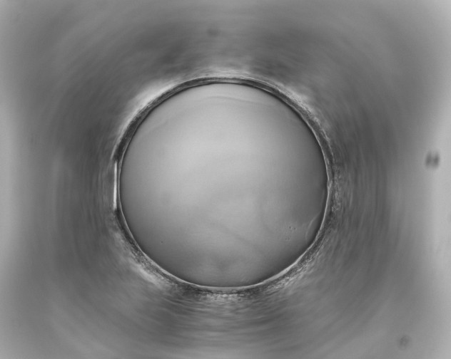 X0000093611223200710291158