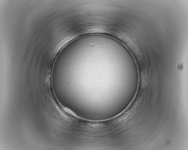 X0000093611225200710291158