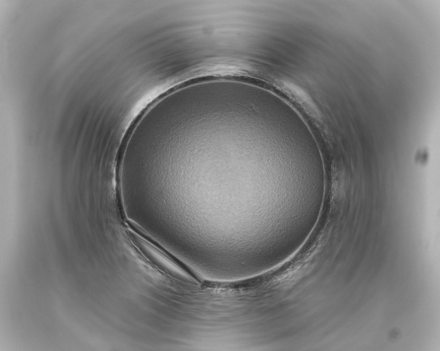 X0000093611226200710291158