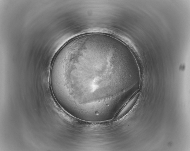 X0000093611228200710291158