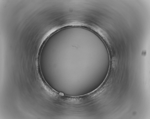 X0000093611229200710291158
