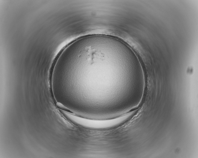 X0000093611230200710291158