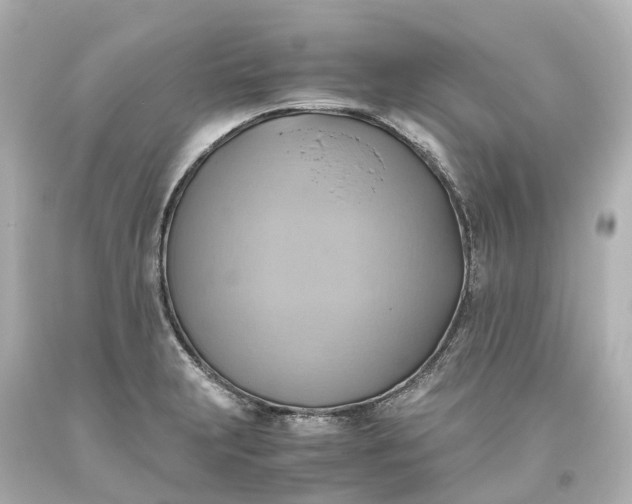X0000093611231200710291158