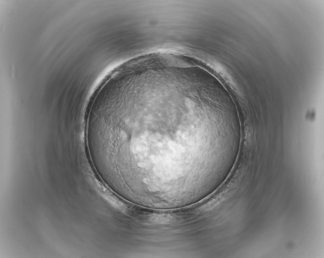 X0000093611232200710291158