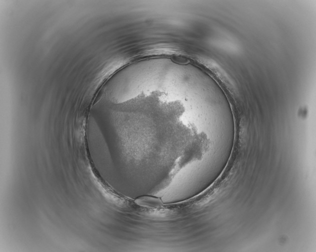 X0000093611233200710291158