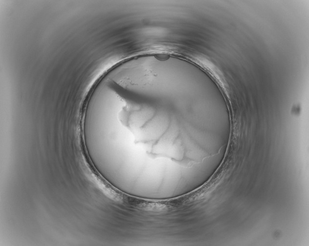X0000093611235200710291158