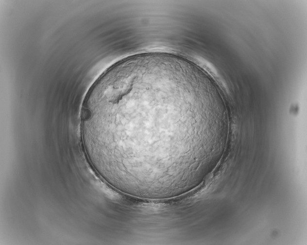 X0000093611236200710291158
