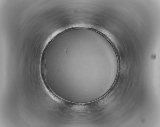 X0000093611237200710291158