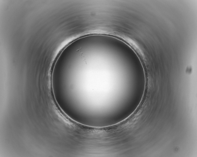 X0000093611238200710291158