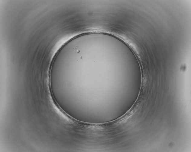 X0000093611239200710291158