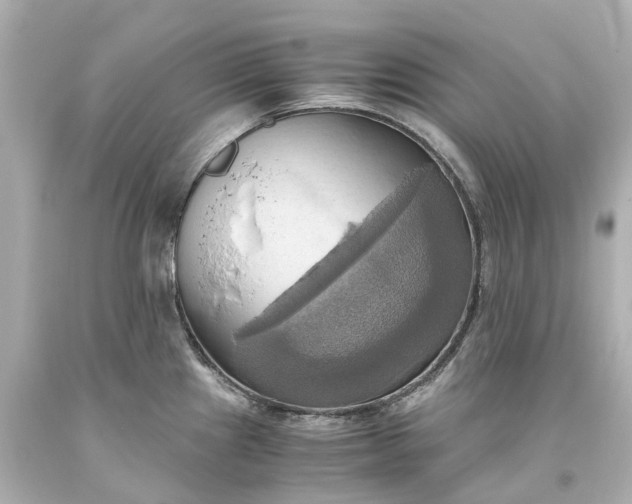 X0000093611241200710291158