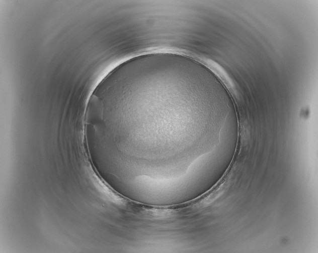 X0000093611244200710291158