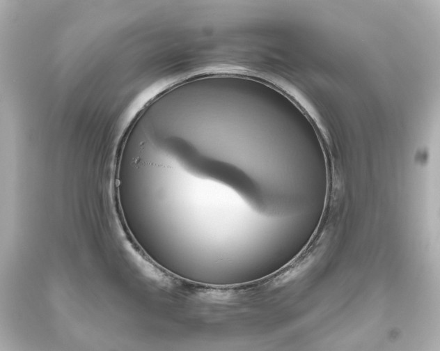 X0000093611245200710291158