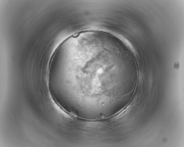 X0000093611247200710291158