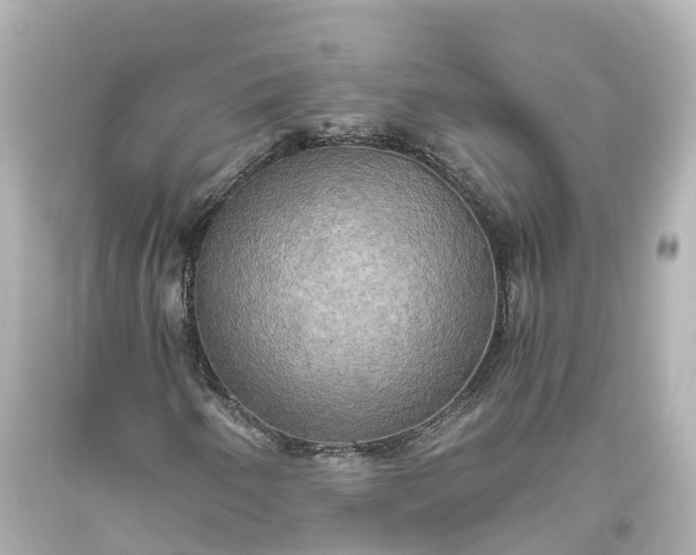 X0000093611250200710291158