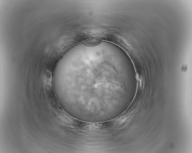 X0000093611251200710291158