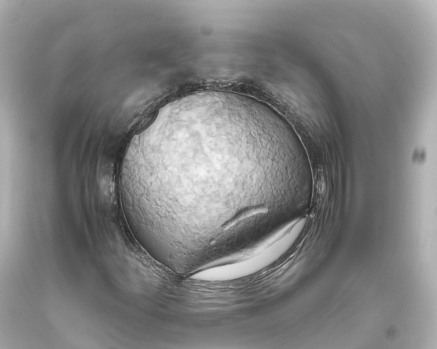 X0000093611252200710291158