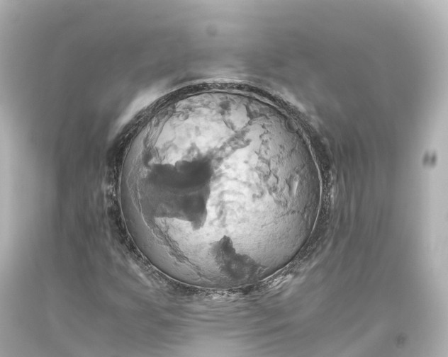 X0000093611255200710291158