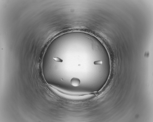 X0000093611257200710291158
