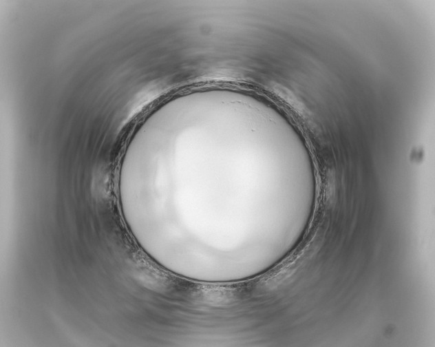 X0000093611258200710291158